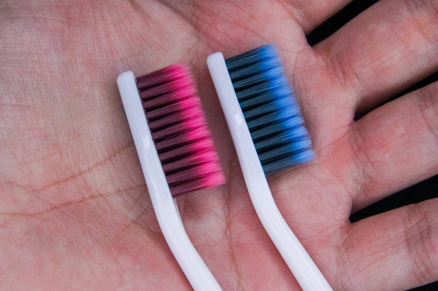 Con esto, te olvidarías de los problemas dentales para siempre.